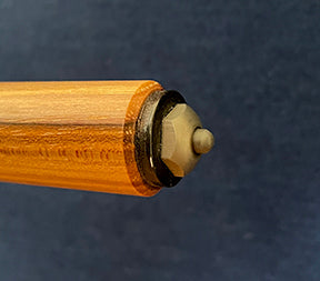 Enhanced Hiking Stick 4063