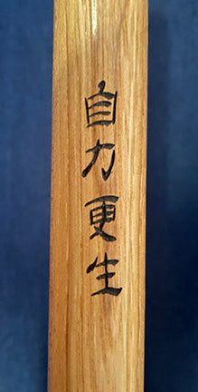 L7 hiking stick 4287