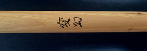 Hiking Stick 4304
