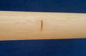 hiking stick 3957