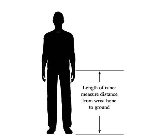 Self Defense Cane