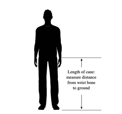 Self Defense Cane