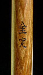 Enhanced Hiking Stick
