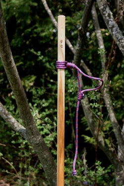 Hiking Stick Lanyard