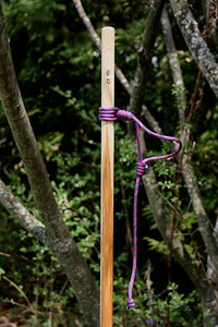 ajustable lanyard on hiking stick